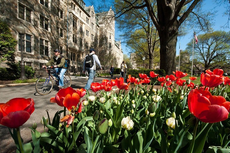 A student riding a bicycle and other students walking past main campus buildings with red tulips in foreground.